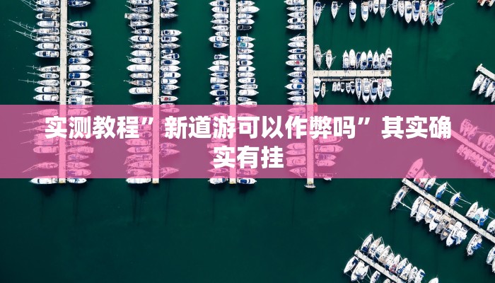 实测教程”新道游可以作弊吗”其实确实有挂