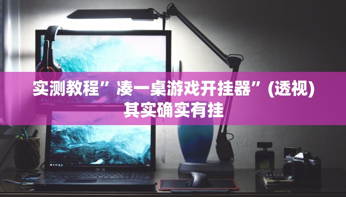 实测教程”凑一桌游戏开挂器”(透视)其实确实有挂