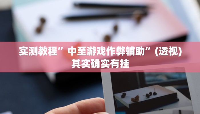 实测教程”中至游戏作弊辅助”(透视)其实确实有挂