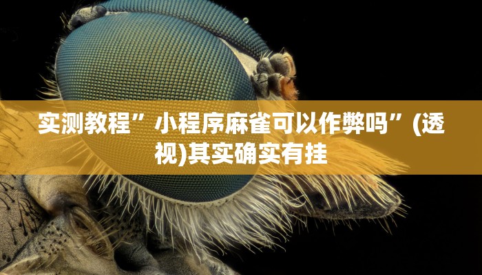 实测教程”小程序麻雀可以作弊吗”(透视)其实确实有挂 实测教程”小程序麻雀可以作弊吗”(透视)其实确实有挂
