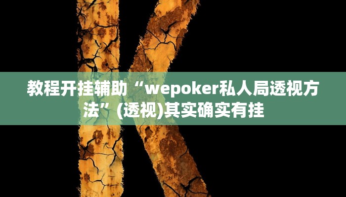 教程开挂辅助“wepoker私人局透视方法”(透视)其实确实有挂