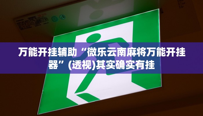 万能开挂辅助“微乐云南麻将万能开挂器”(透视)其实确实有挂