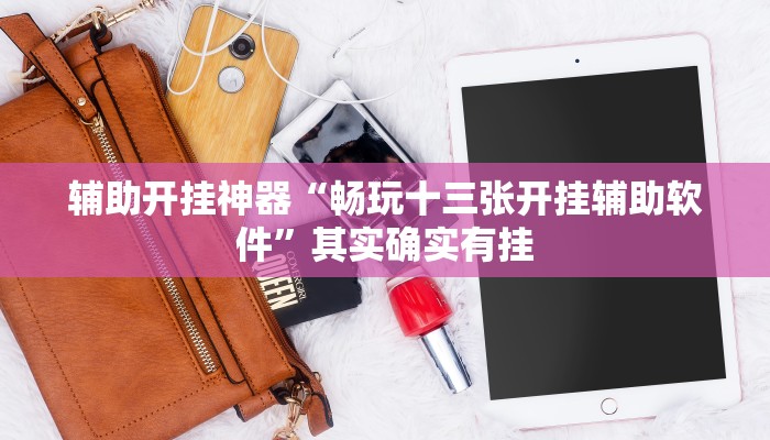 辅助开挂神器“畅玩十三张开挂辅助软件”其实确实有挂