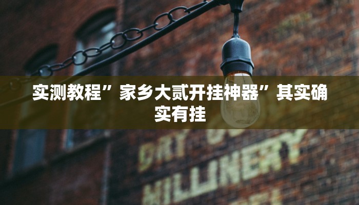 实测教程”家乡大贰开挂神器”其实确实有挂 实测教程”家乡大贰开挂神器”其实确实有挂