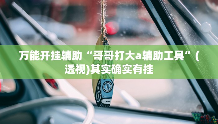 万能开挂辅助“哥哥打大a辅助工具”(透视)其实确实有挂 万能开挂辅助“哥哥打大a辅助工具”(透视)其实确实有挂