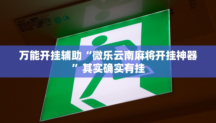 万能开挂辅助“微乐云南麻将开挂神器”其实确实有挂 万能开挂辅助“微乐云南麻将开挂神器”其实确实有挂