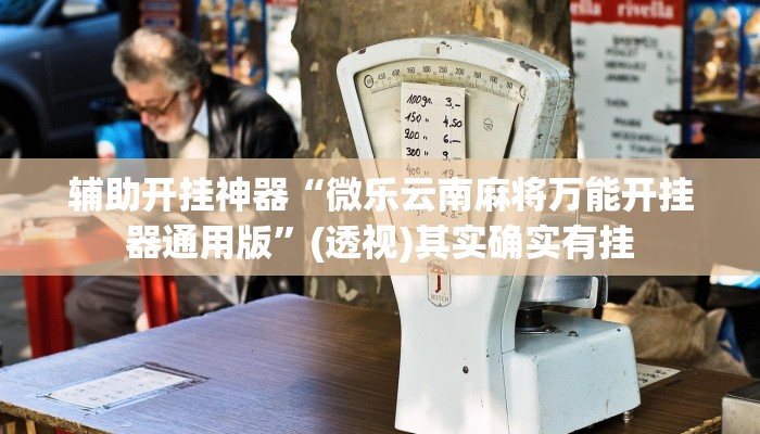 辅助开挂神器“微乐云南麻将万能开挂器通用版”(透视)其实确实有挂 辅助开挂神器“微乐云南麻将万能开挂器通用版”(透视)其实确实有挂