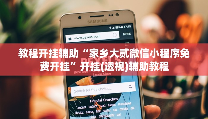 教程开挂辅助“家乡大贰微信小程序免费开挂”开挂(透视)辅助教程 教程开挂辅助“家乡大贰微信小程序免费开挂”开挂(透视)辅助教程
