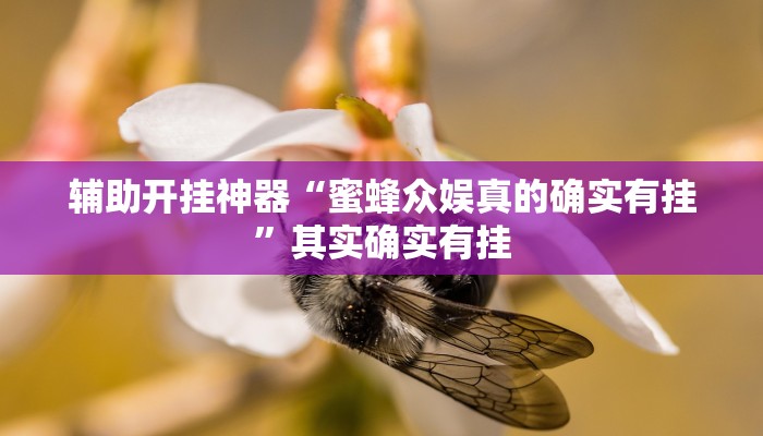 辅助开挂神器“蜜蜂众娱真的确实有挂”其实确实有挂