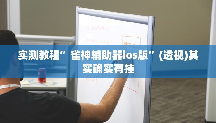 实测教程”雀神辅助器ios版”(透视)其实确实有挂 实测教程”雀神辅助器ios版”(透视)其实确实有挂