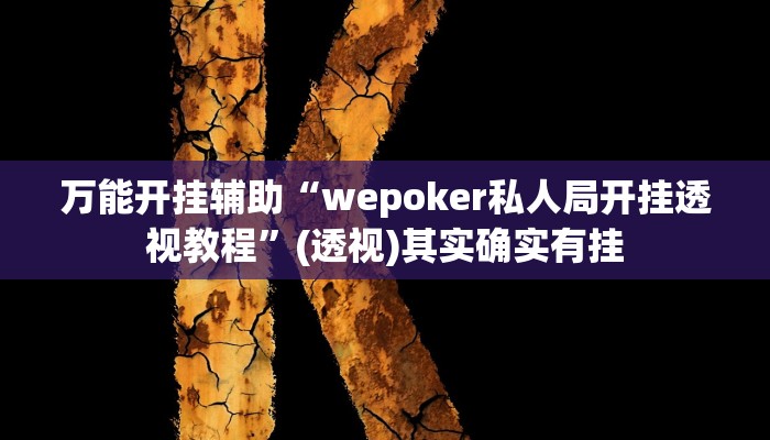 万能开挂辅助“wepoker私人局开挂透视教程”(透视)其实确实有挂