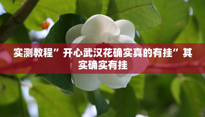 实测教程”开心武汉花确实真的有挂”其实确实有挂 实测教程”开心武汉花确实真的有挂”其实确实有挂