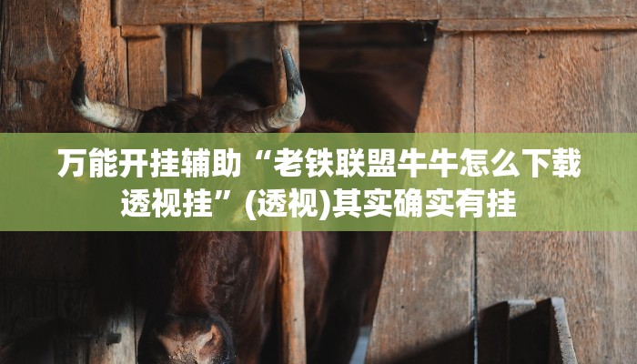 万能开挂辅助“老铁联盟牛牛怎么下载透视挂”(透视)其实确实有挂