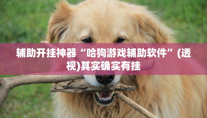 辅助开挂神器“哈狗游戏辅助软件”(透视)其实确实有挂