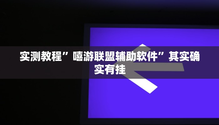 实测教程”嘻游联盟辅助软件”其实确实有挂 实测教程”嘻游联盟辅助软件”其实确实有挂