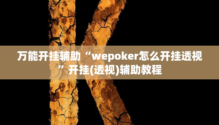 万能开挂辅助“wepoker怎么开挂透视”开挂(透视)辅助教程