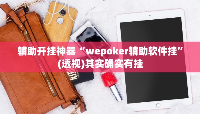 辅助开挂神器“wepoker辅助软件挂”(透视)其实确实有挂