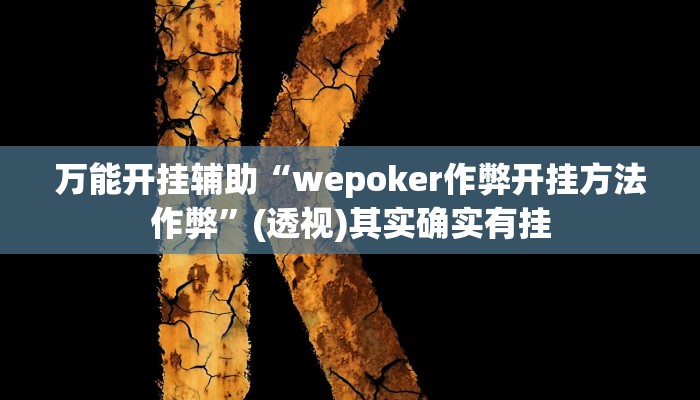 万能开挂辅助“wepoker作弊开挂方法作弊”(透视)其实确实有挂