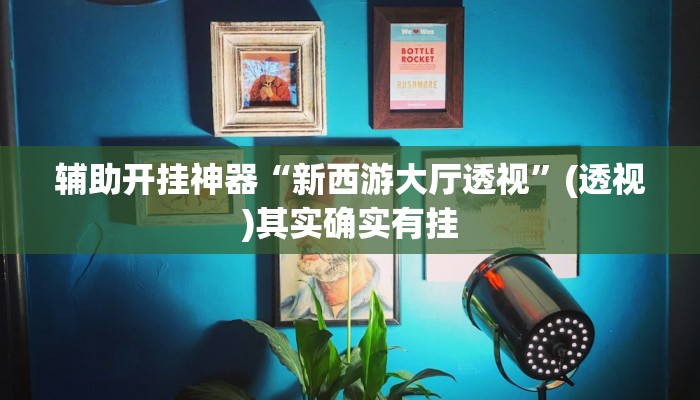 辅助开挂神器“新西游大厅透视”(透视)其实确实有挂