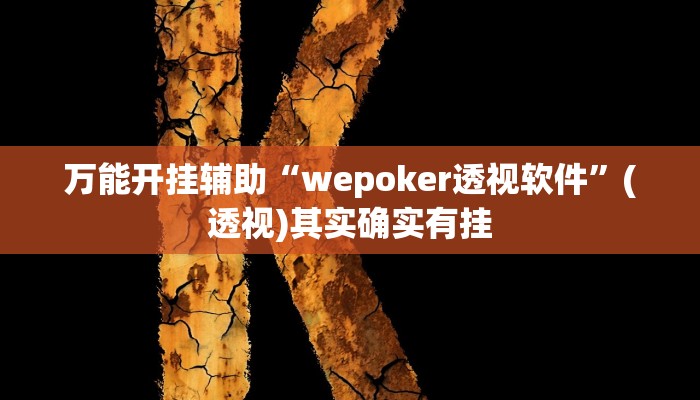 万能开挂辅助“wepoker透视软件”(透视)其实确实有挂