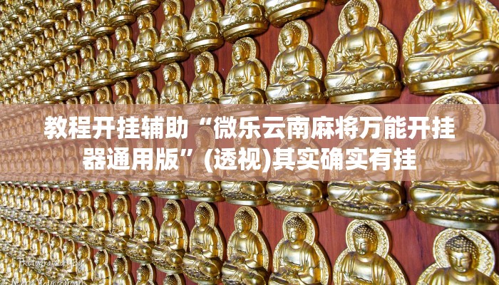 教程开挂辅助“微乐云南麻将万能开挂器通用版”(透视)其实确实有挂