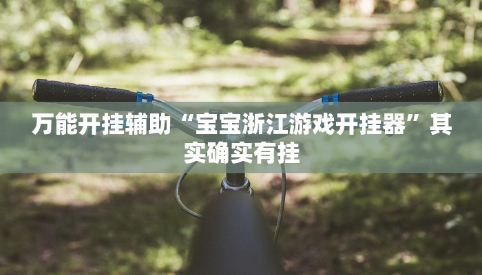 万能开挂辅助“宝宝浙江游戏开挂器”其实确实有挂
