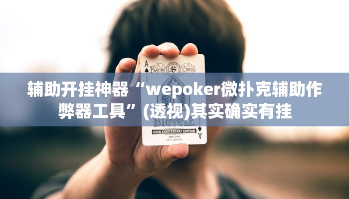 辅助开挂神器“wepoker微扑克辅助作弊器工具”(透视)其实确实有挂