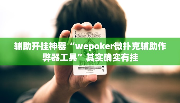 辅助开挂神器“wepoker微扑克辅助作弊器工具”其实确实有挂