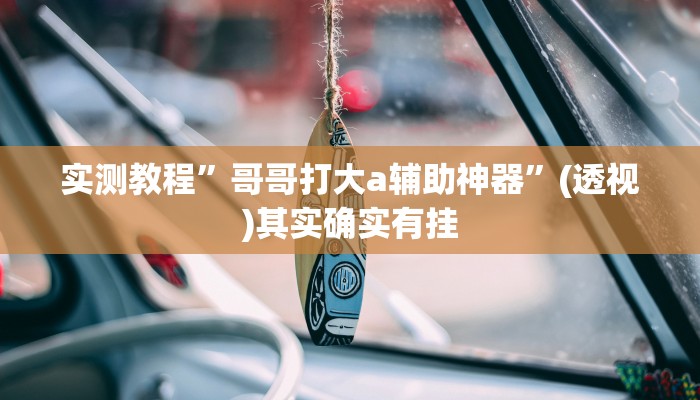 实测教程”哥哥打大a辅助神器”(透视)其实确实有挂
