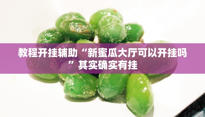 教程开挂辅助“新蜜瓜大厅可以开挂吗”其实确实有挂