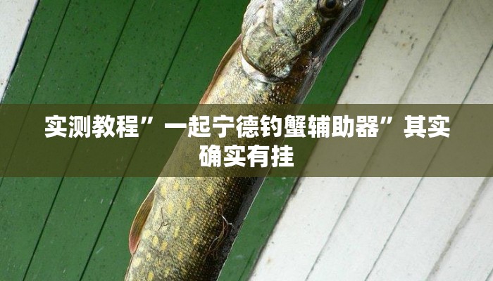 实测教程”一起宁德钓蟹辅助器”其实确实有挂 实测教程”一起宁德钓蟹辅助器”其实确实有挂