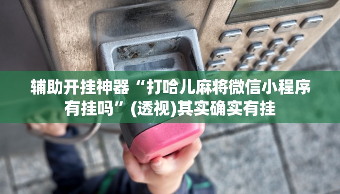 辅助开挂神器“打哈儿麻将微信小程序有挂吗”(透视)其实确实有挂 辅助开挂神器“打哈儿麻将微信小程序有挂吗”(透视)其实确实有挂