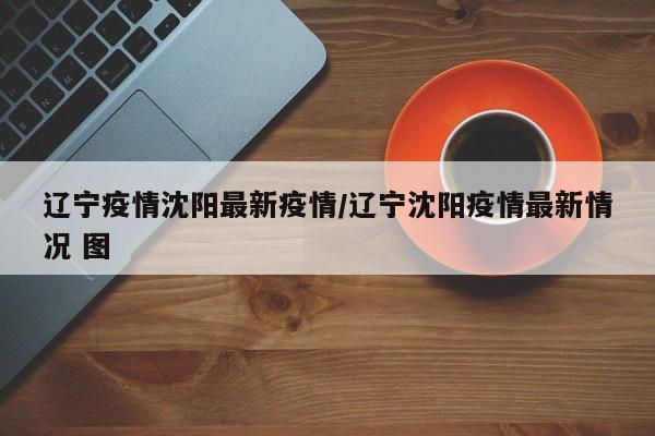 辽宁疫情沈阳最新疫情/辽宁沈阳疫情最新情况 图